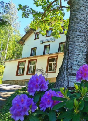 Pension Haus Anna